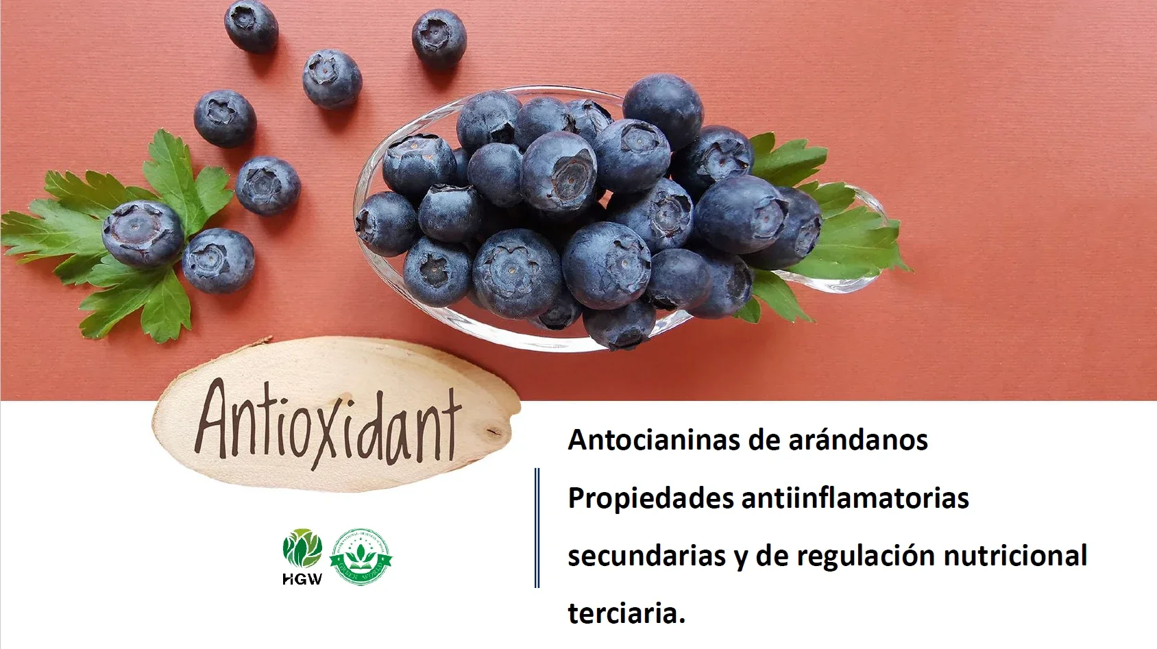Los arándanos tienen propiedades antioxidante