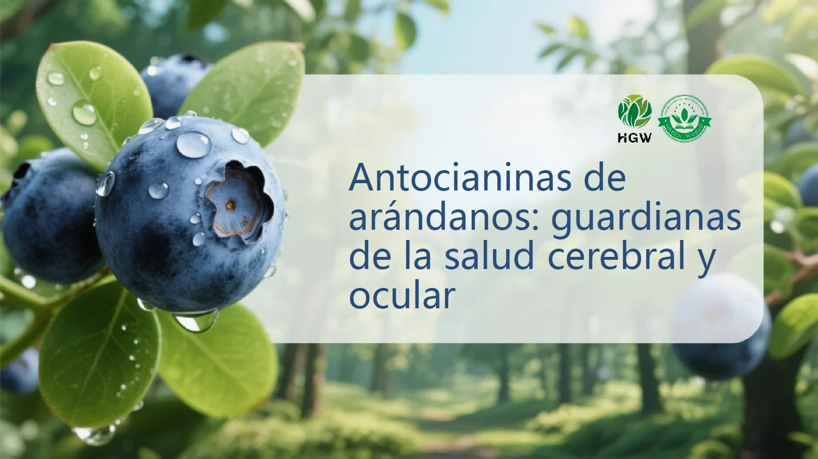 El guardián de la salud del cerebro y los ojos